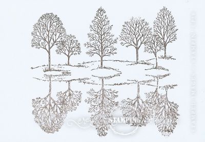 Rayna's Lovely As A Tree Card
