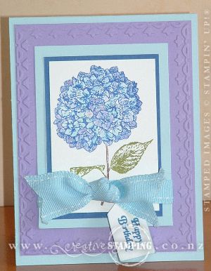Lyn's Card