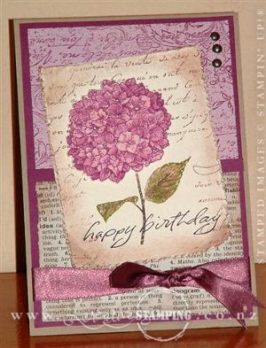 Lyn's Card