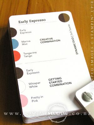Color Coach - Early Espresso