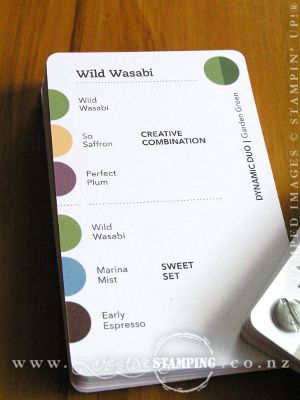 Color Coach - Wild Wasabi