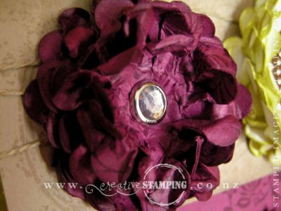 Rich Razzleberry Flower