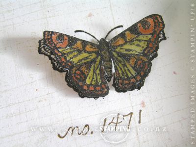 Framed Butterflies