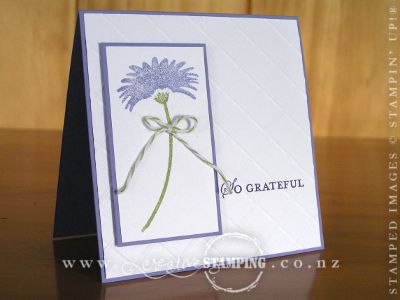 May Thank You Cards