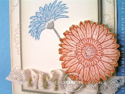 Reason To Smile Suspension Card