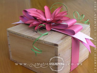 Primrose Petals Flower