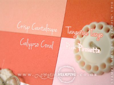 Crisp Cantaloupe