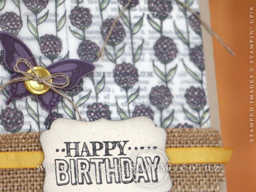Sheer Perfection Birthday Card
