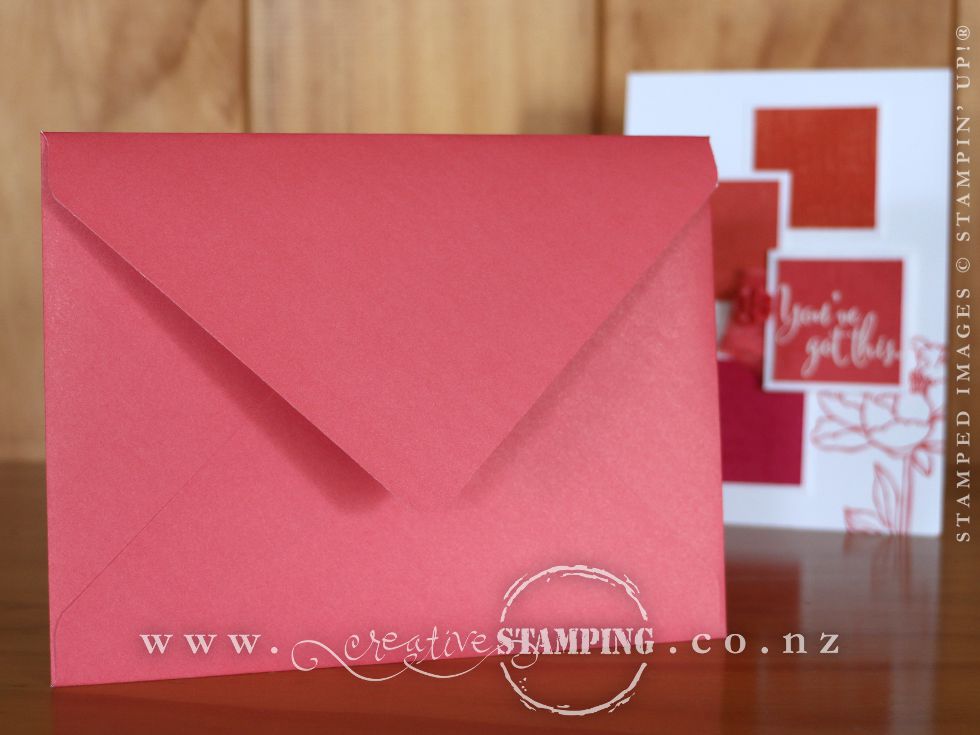 2015-2016 In Color Envelope in Watermelon Wonder