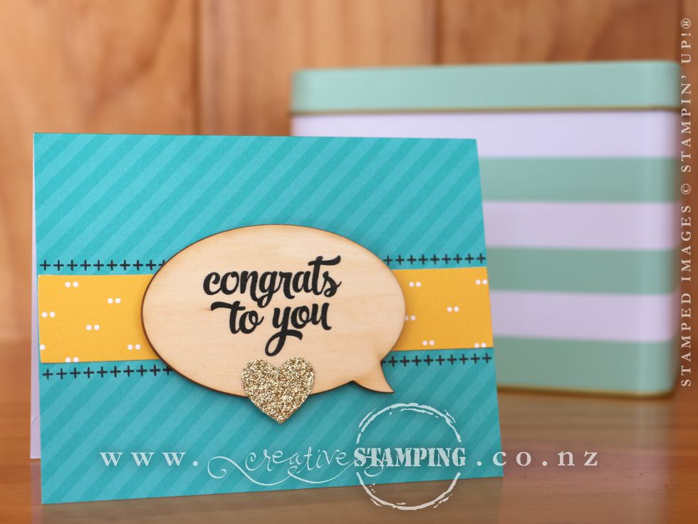 Tin of Cards Project Kit