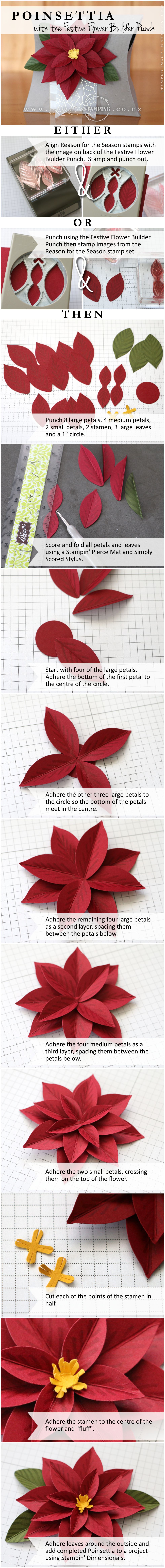 Pictorial: Poinsettia with the Festive Flower Builder Punch