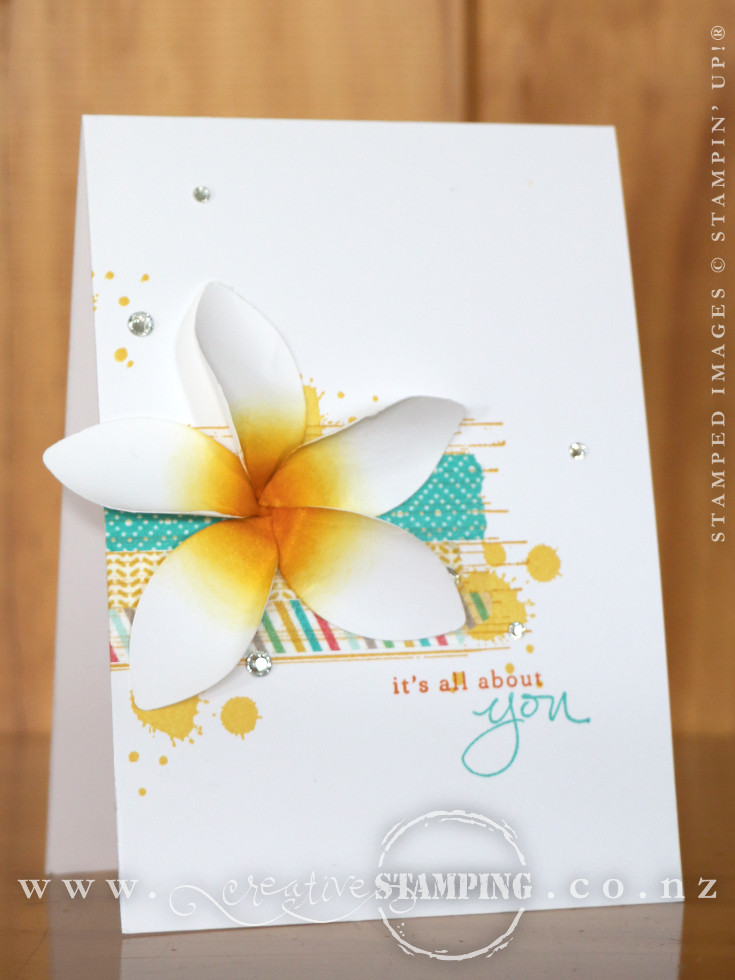 Frangipani Flower Card