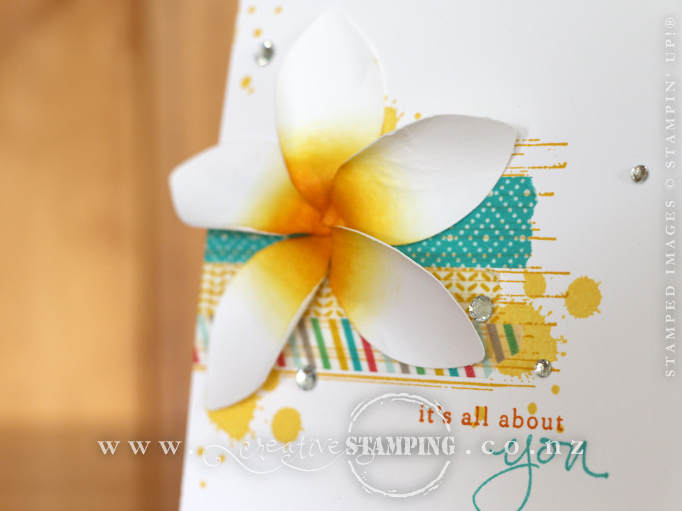 Frangipani Flower Card