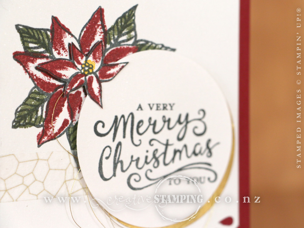 Christmas Poinsettia Christmas Card