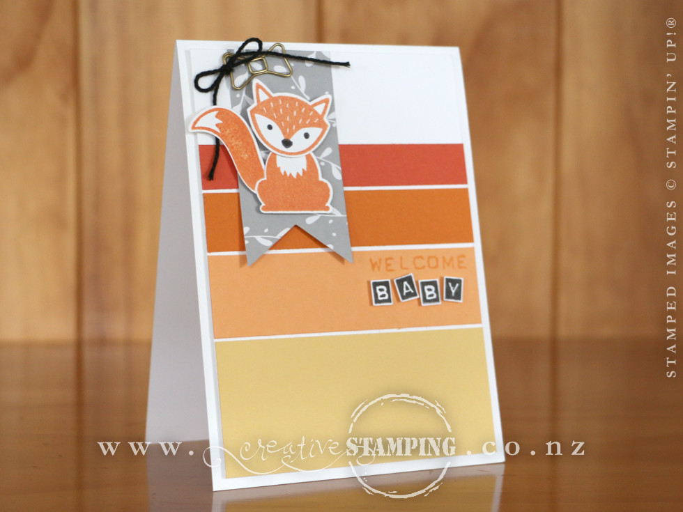 Tangerine Tango | Pumpkin Pie | Peekaboo Peach | So Saffron