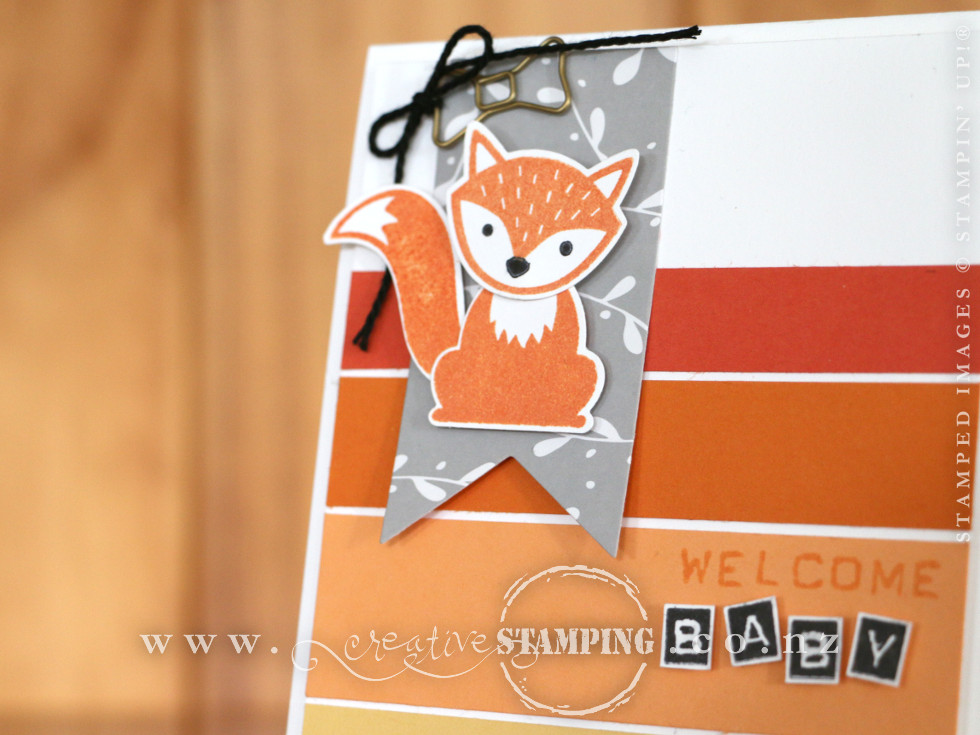 Tangerine Tango | Pumpkin Pie | Peekaboo Peach | So Saffron