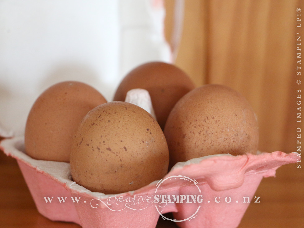 Hey, Chick Mini Egg Carton