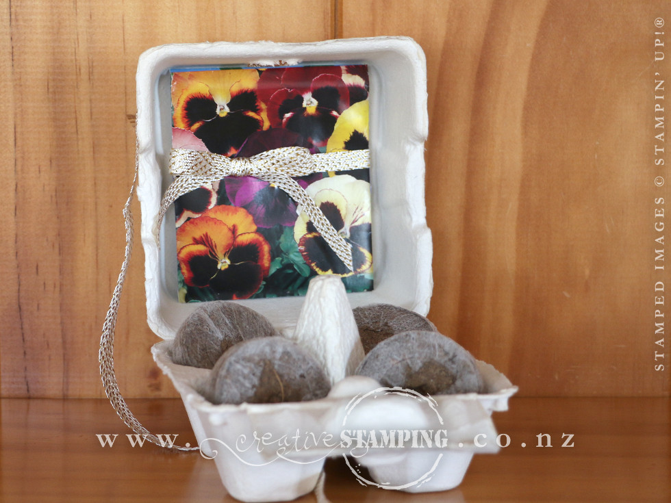 Mini Egg Carton Garden