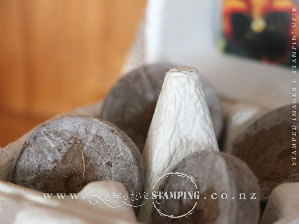 Mini Egg Carton Garden