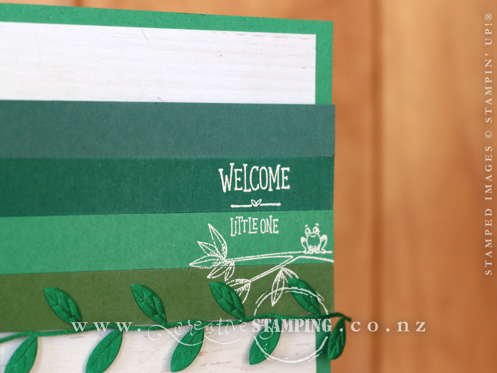 Animal Outing New Baby Card