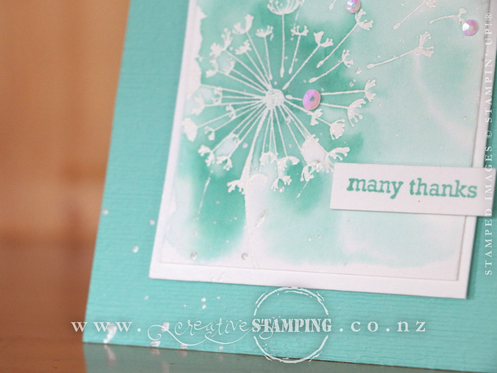 Dandelion Wishes Thank You Cards