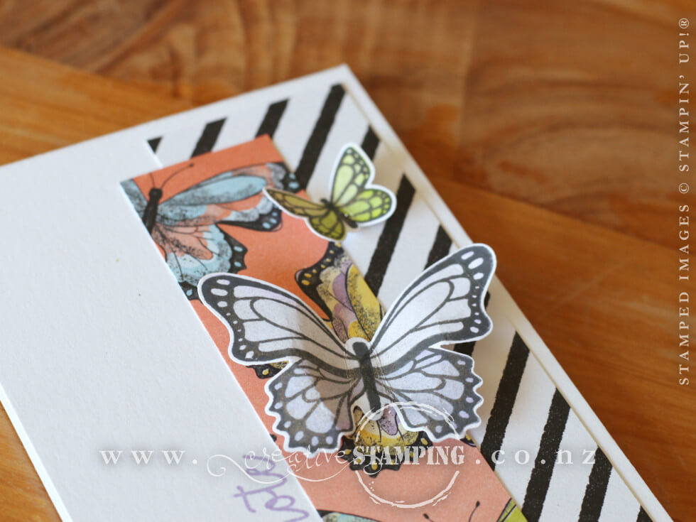 Butterfly Gala Note Pad