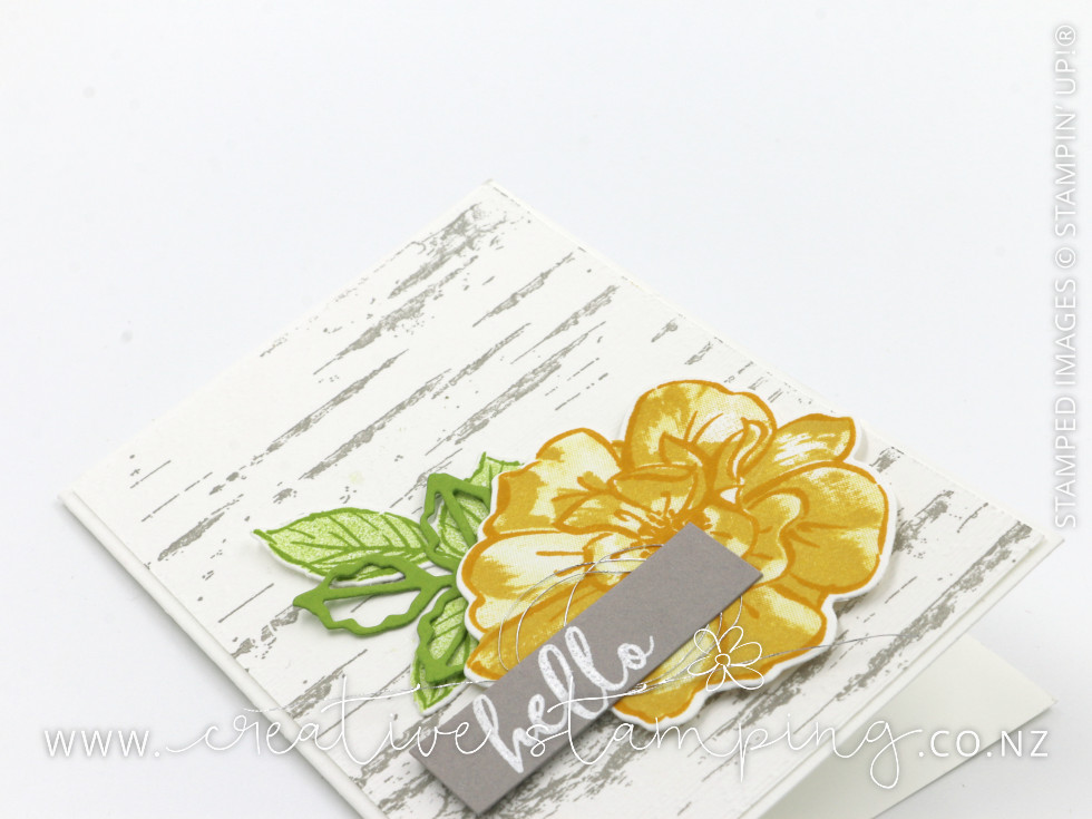 To A Wild Rose Thank You Card