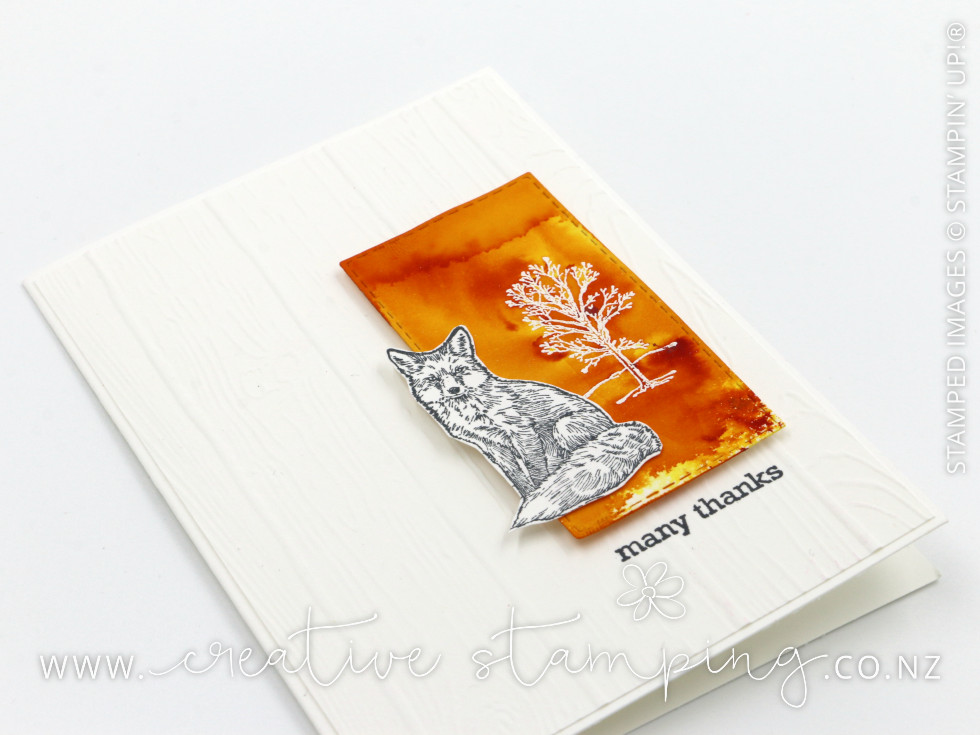 Nature's Beauty Thank You Cards