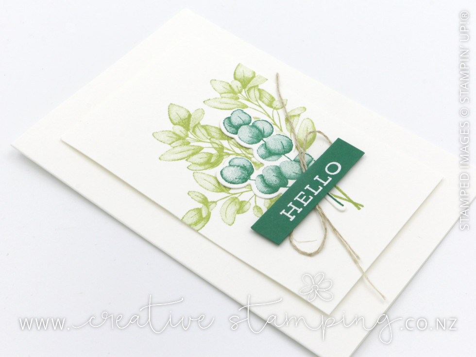 Forever Greenery Note Cards Gift Box