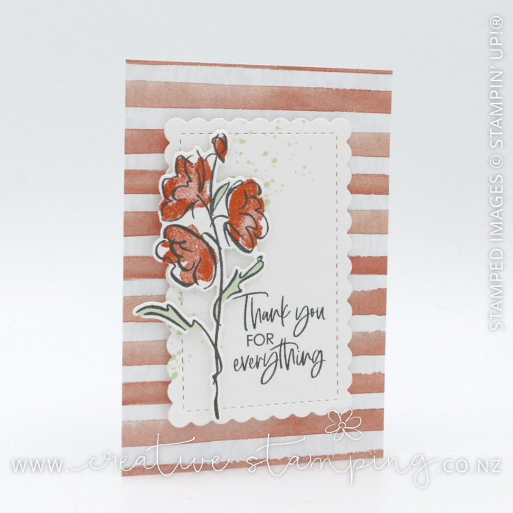 Color & Contour Thank You Note Card