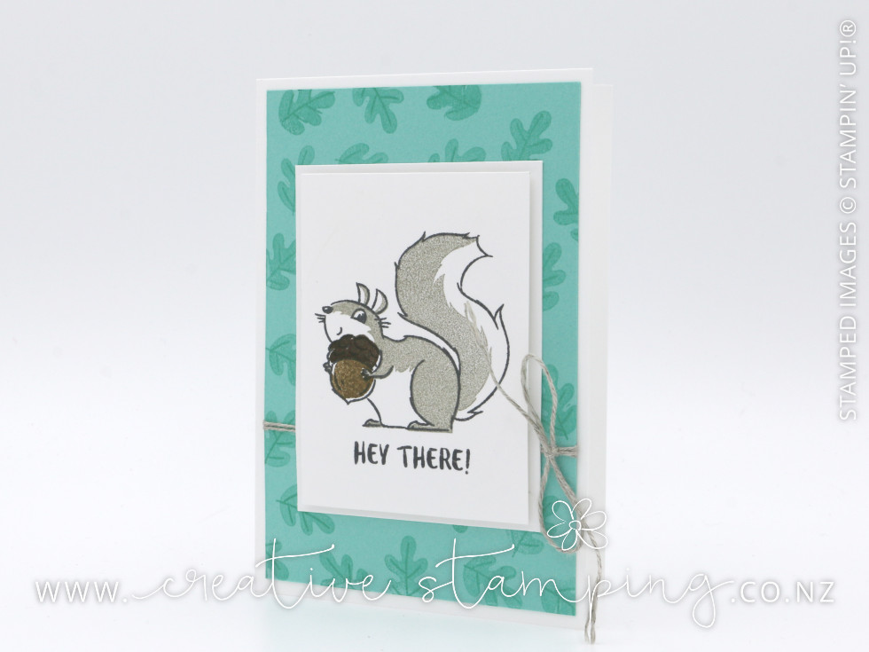Nuts About Squirrels Hey There Thank You Card Nuts About Squirrels Hey There Thank You Card