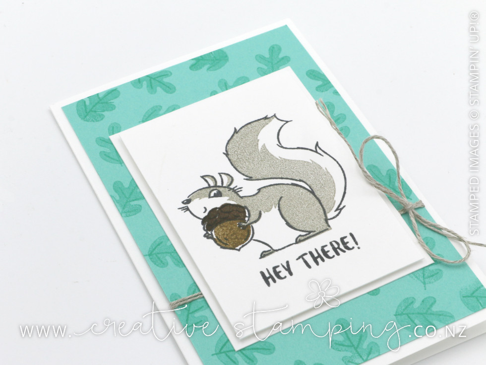 Nuts About Squirrels Hey There Thank You Card Nuts About Squirrels Hey There Thank You Card