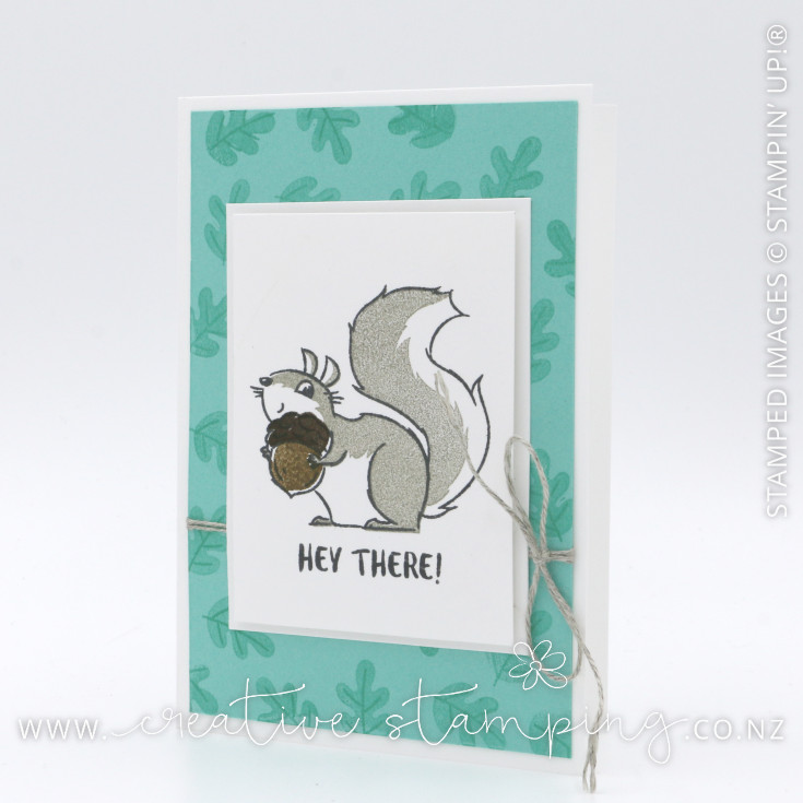 Nuts About Squirrels Hey There Thank You Card