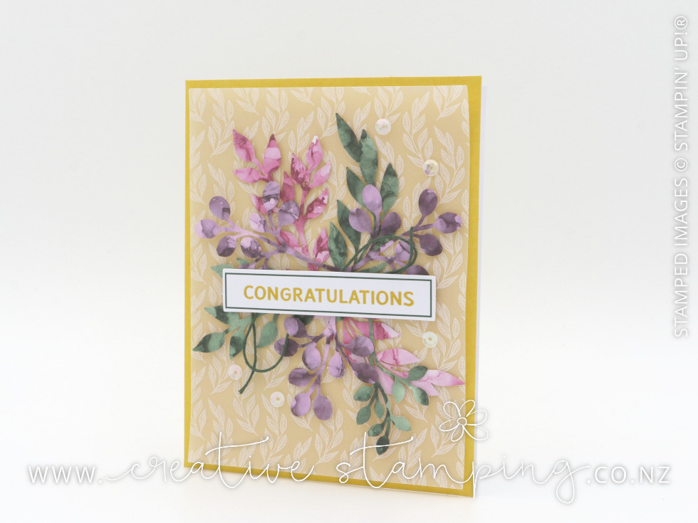 Expressions In Color Card Kit  |  Kits Collection by Stampin' Up!