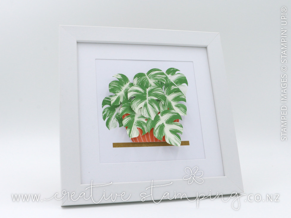 Happy Houseplants Kit Happy Houseplants Kit