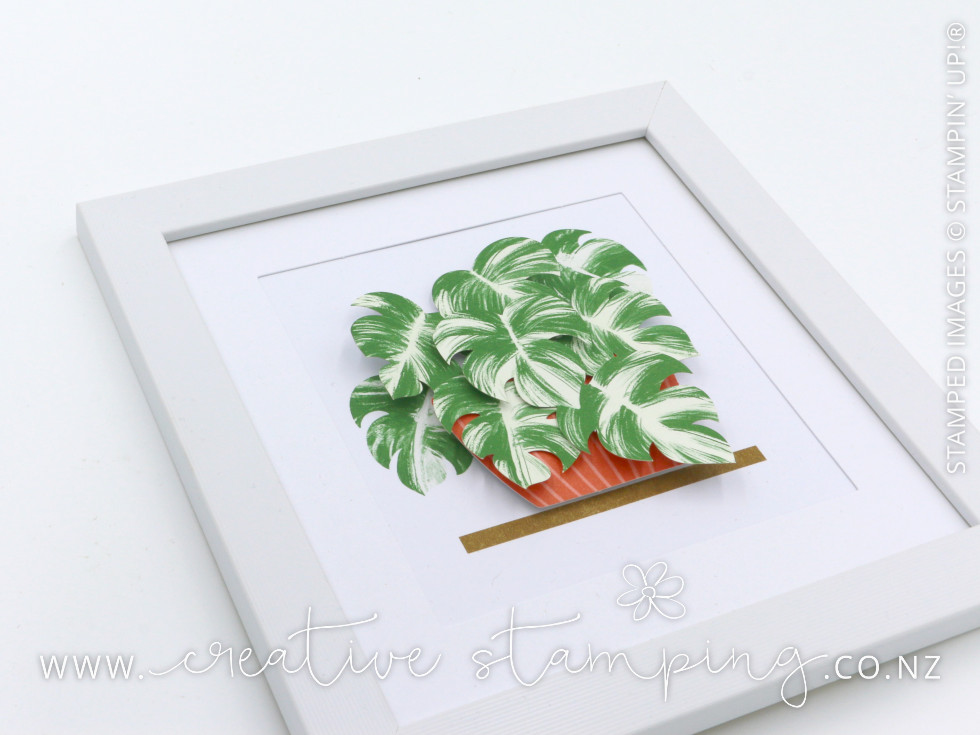 Happy House Plants Kit Happy House Plants Kit