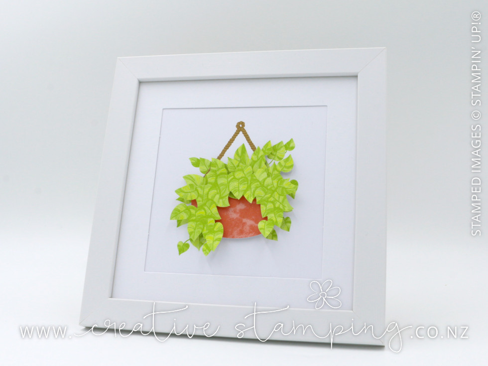Happy House Plants Kit Happy House Plants Kit