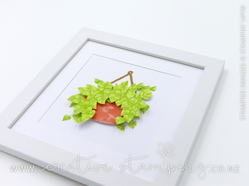 Happy House Plants Kit Happy House Plants Kit