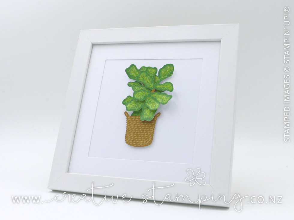 Happy House Plants Kit Happy House Plants Kit