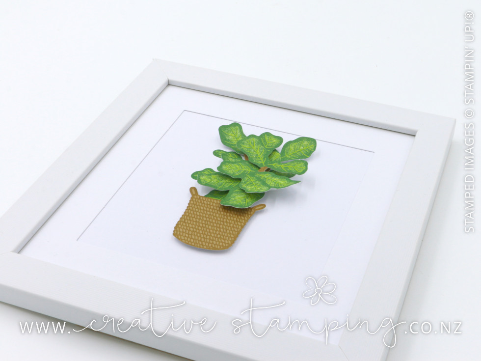 Happy House Plants Kit Happy House Plants Kit