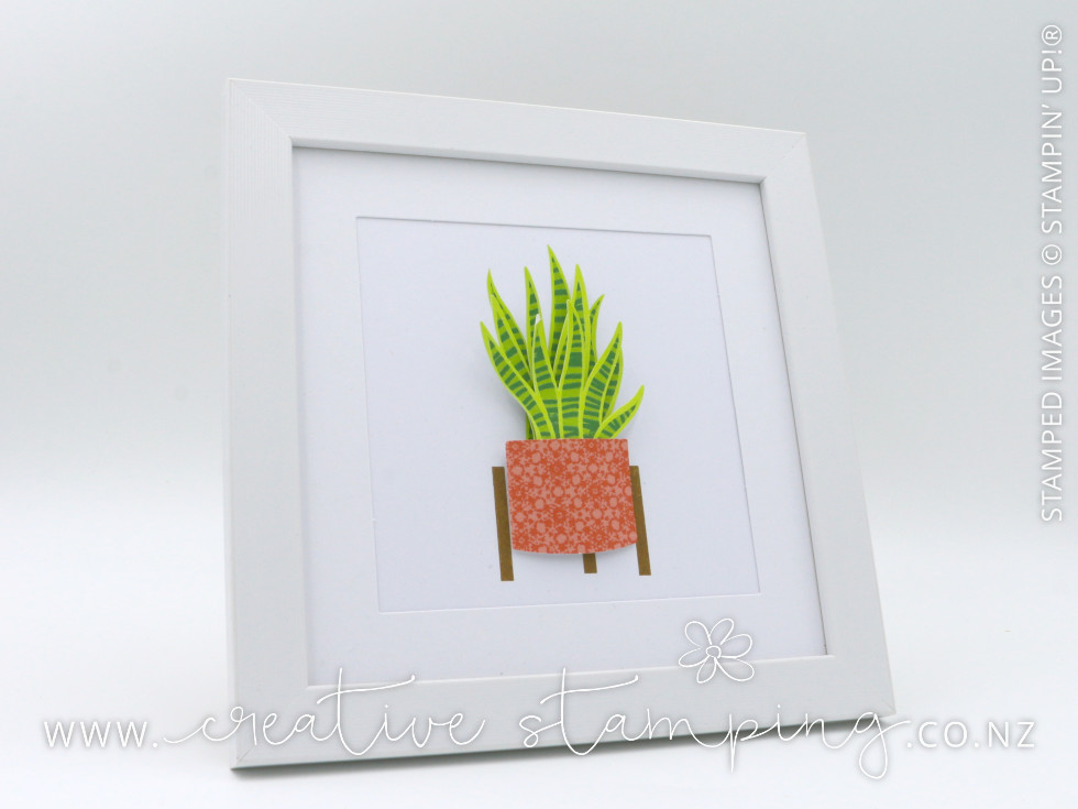Happy House Plants Kit Happy House Plants Kit