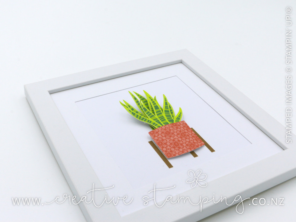 Happy House Plants Kit Happy House Plants Kit