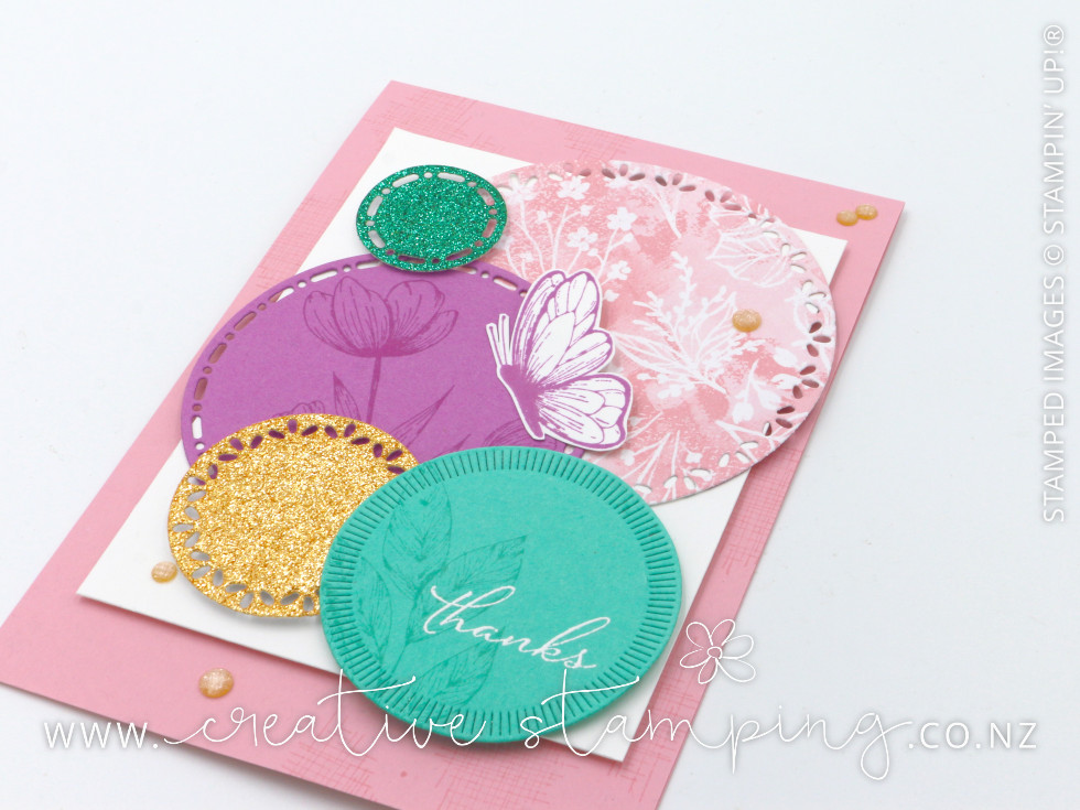 Spotlight on Nature In Color Thank You Card
