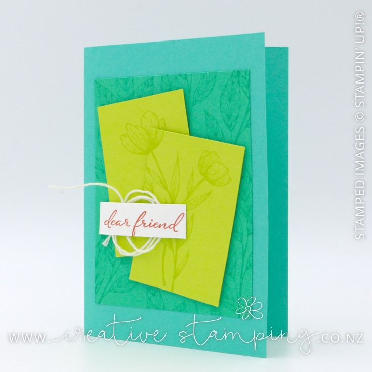 Spotlight on Nature Friendship Greeting Card