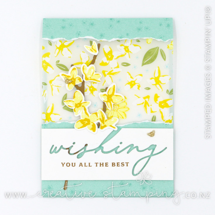 Delightful Wishes Vellum Window Card