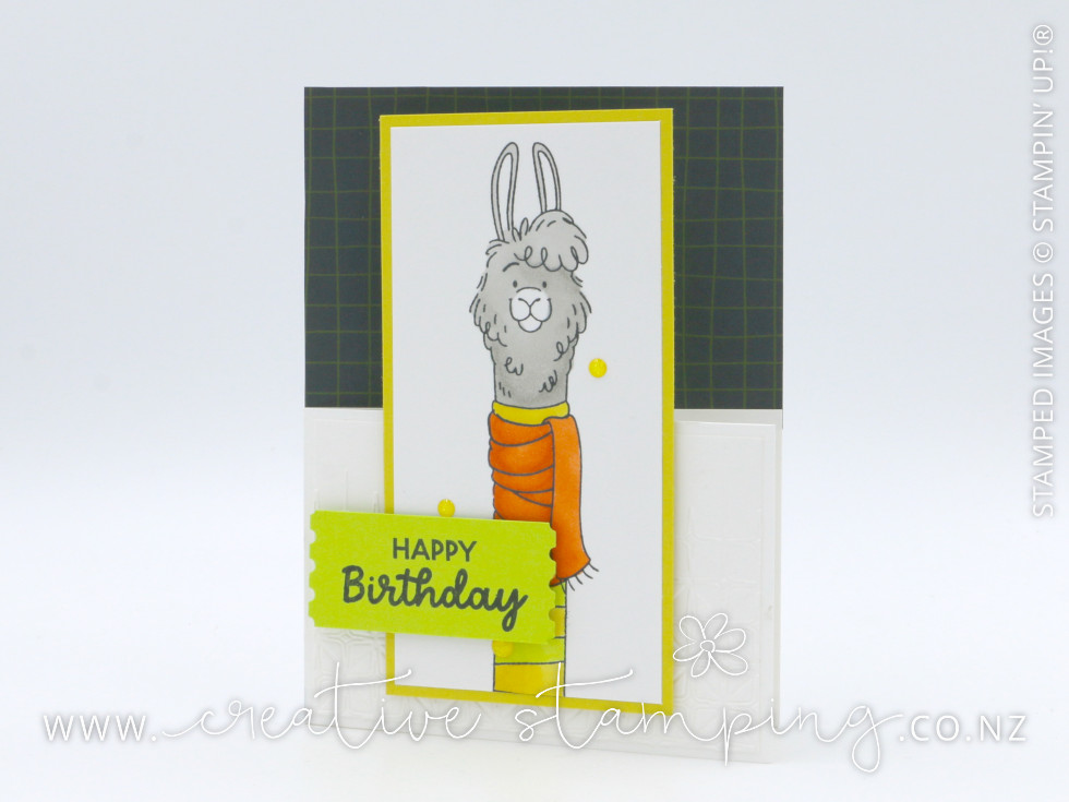 Long Time No See Llama Dutch Door Birthday Card Long Time No See Llama Dutch Door Birthday Card
