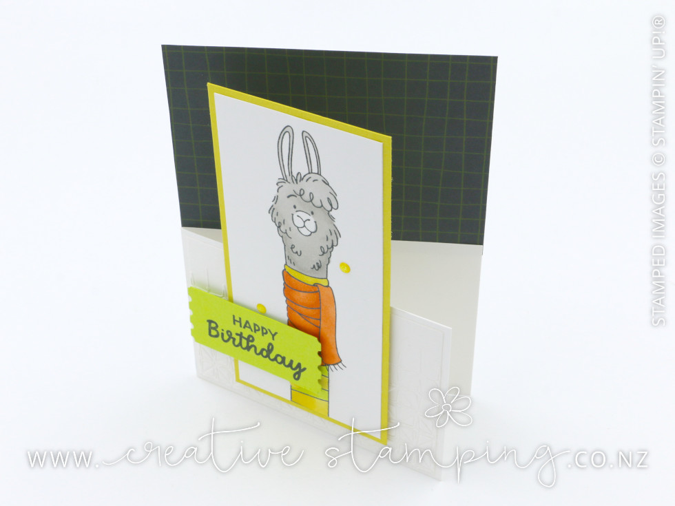 Long Time No See Llama Dutch Door Birthday Card Long Time No See Llama Dutch Door Birthday Card