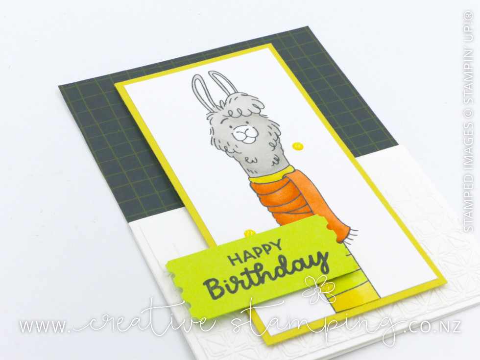 Long Time No See Llama Dutch Door Birthday Card Long Time No See Llama Dutch Door Birthday Card