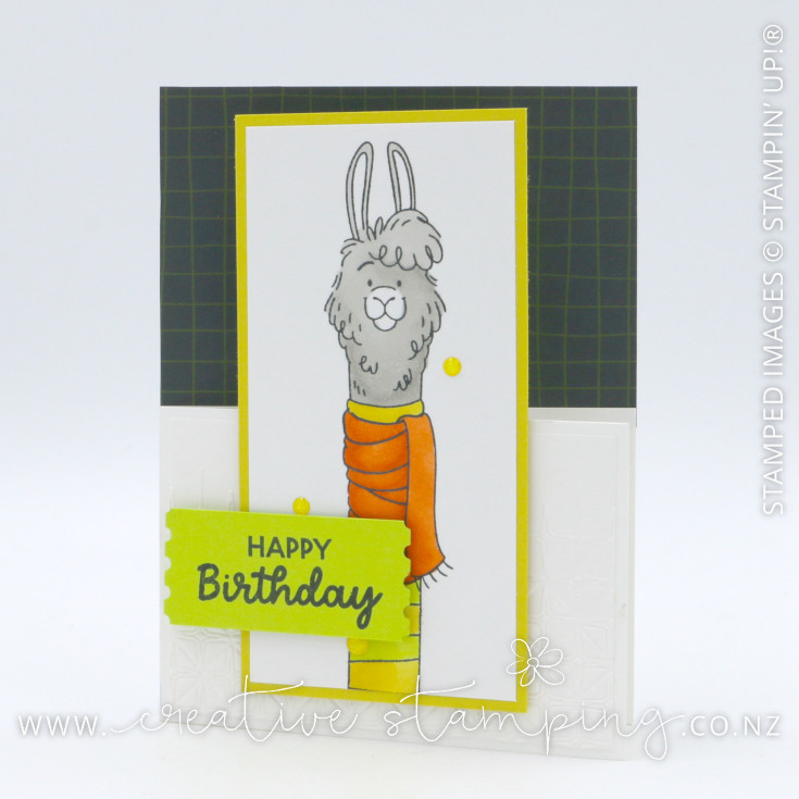 Long Time No See Llama Dutch Door Birthday Card