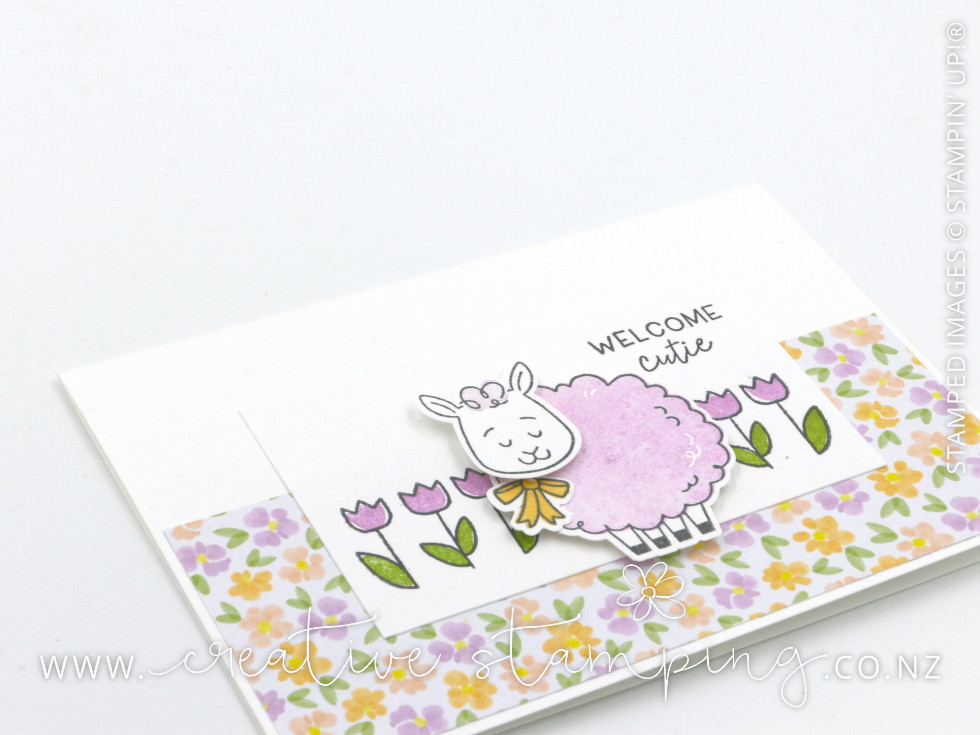 Woolly Friends Welcome Baby Note Card
